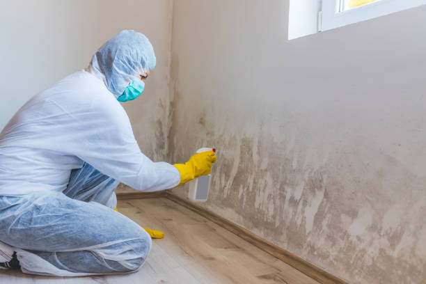 Licensed Mold Remediation service in Hoboken, NJ - 24 Hour Mold Removal