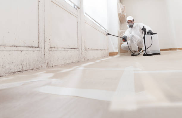 24/7 Emergency Mold Remediation experts in Hoboken, NJ
